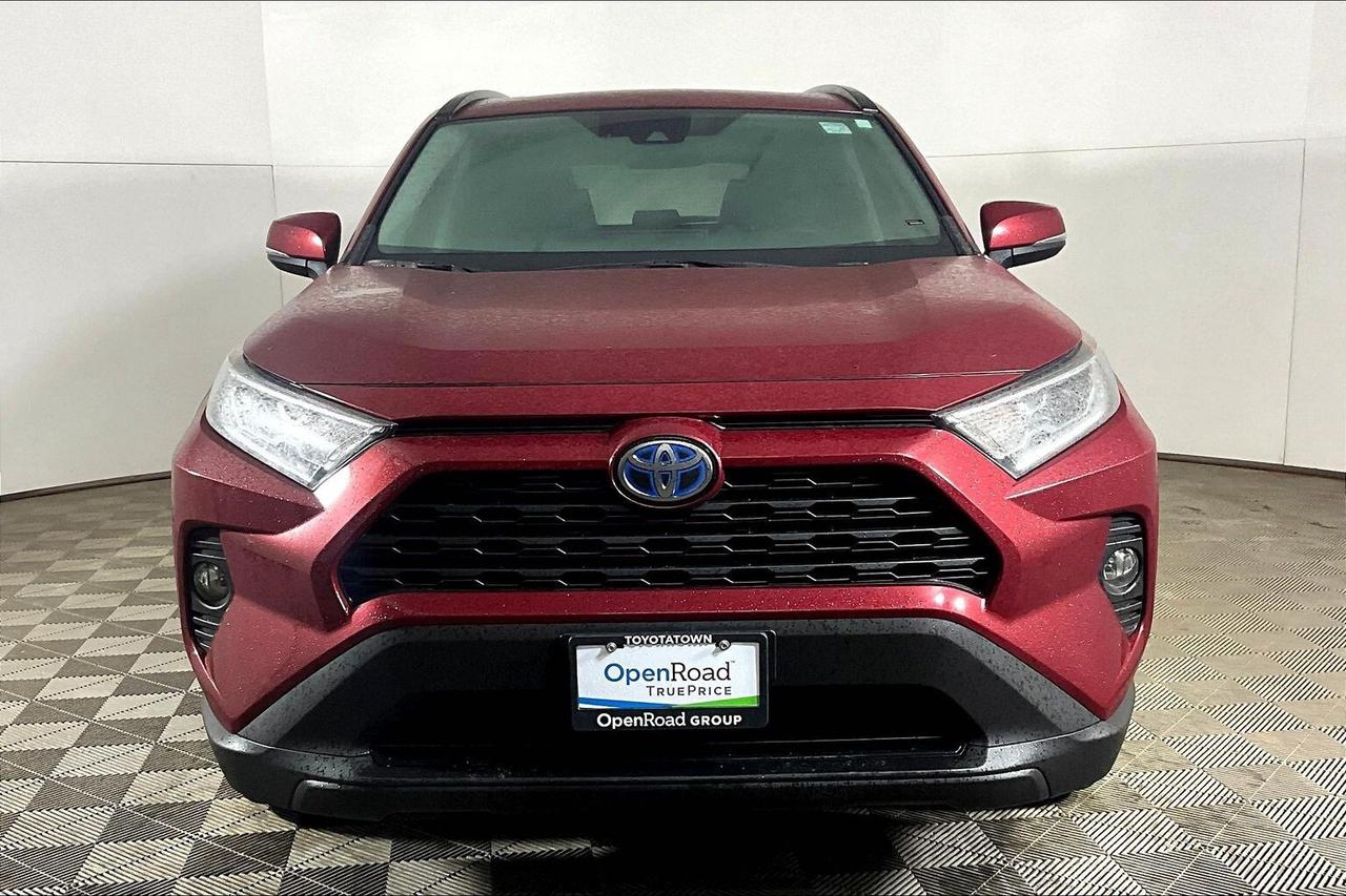 2019 Toyota RAV4 AWD Hybrid XLE Photo