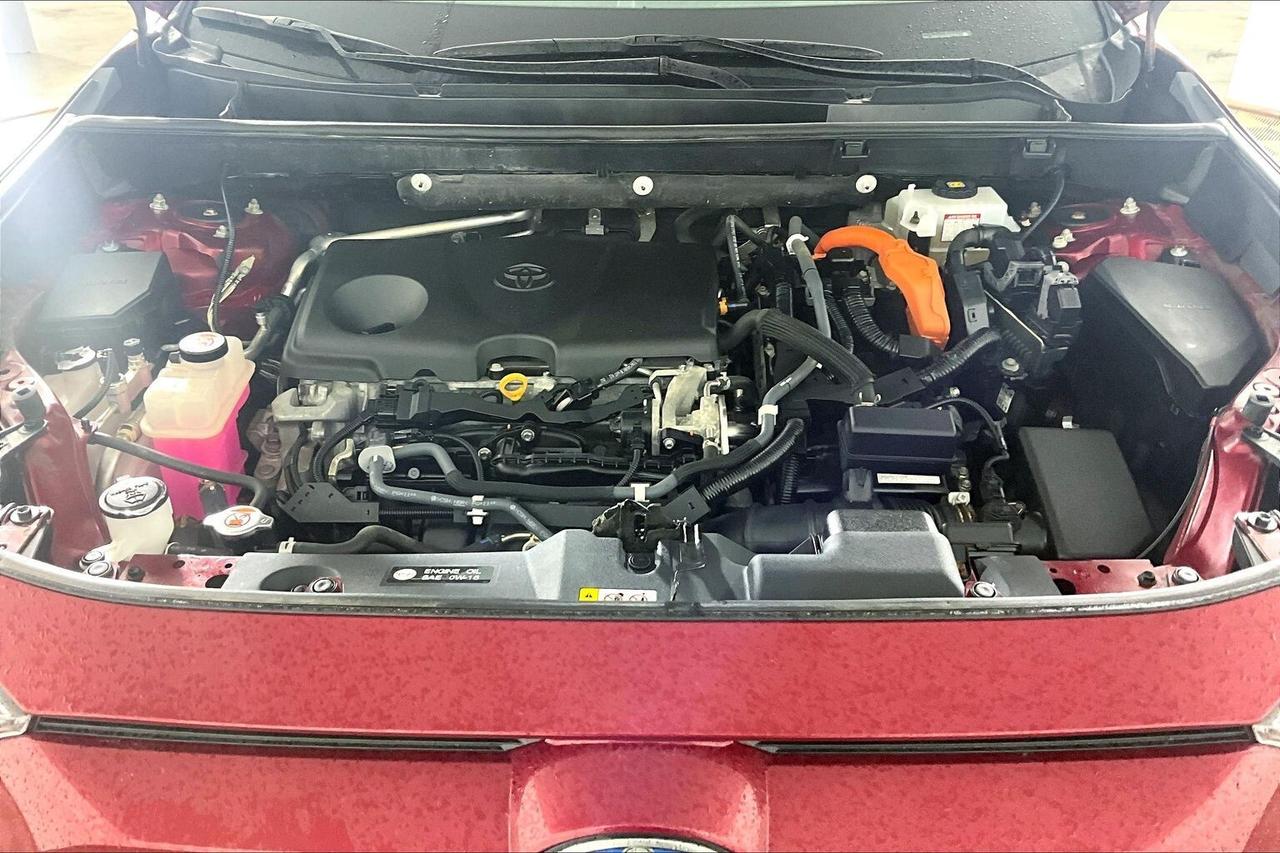 2019 Toyota RAV4 AWD Hybrid XLE Photo