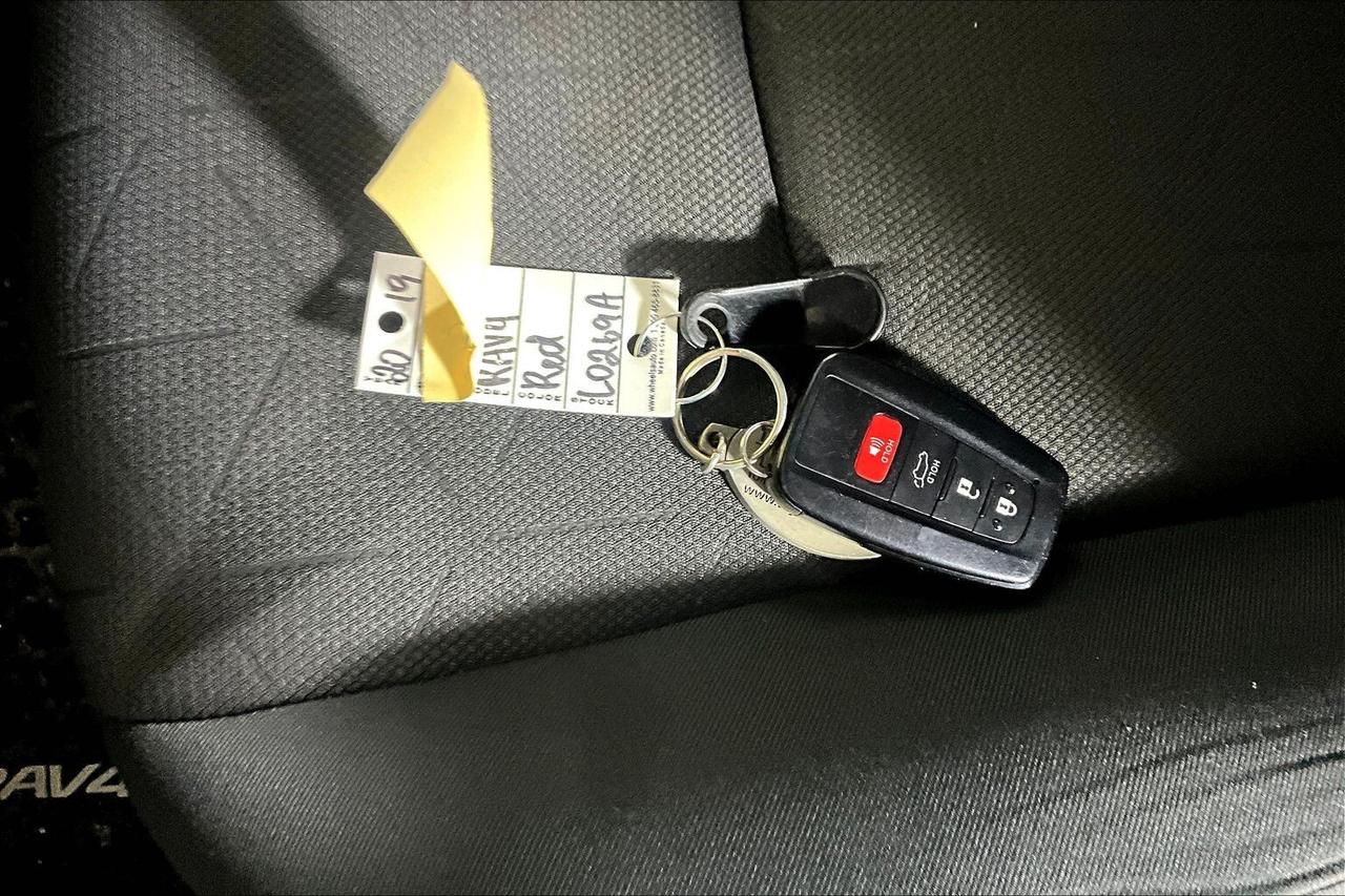 2019 Toyota RAV4 AWD Hybrid XLE Photo