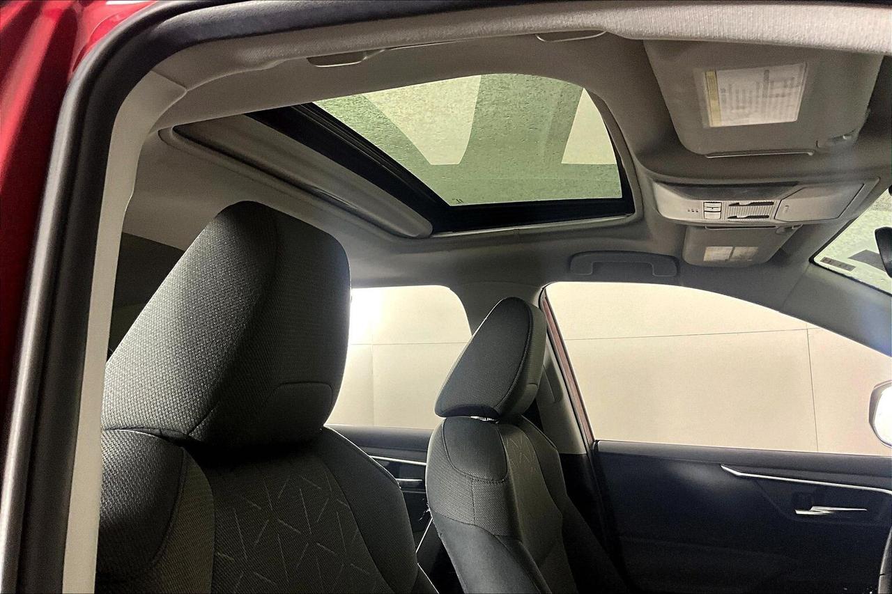 2019 Toyota RAV4 AWD Hybrid XLE Photo