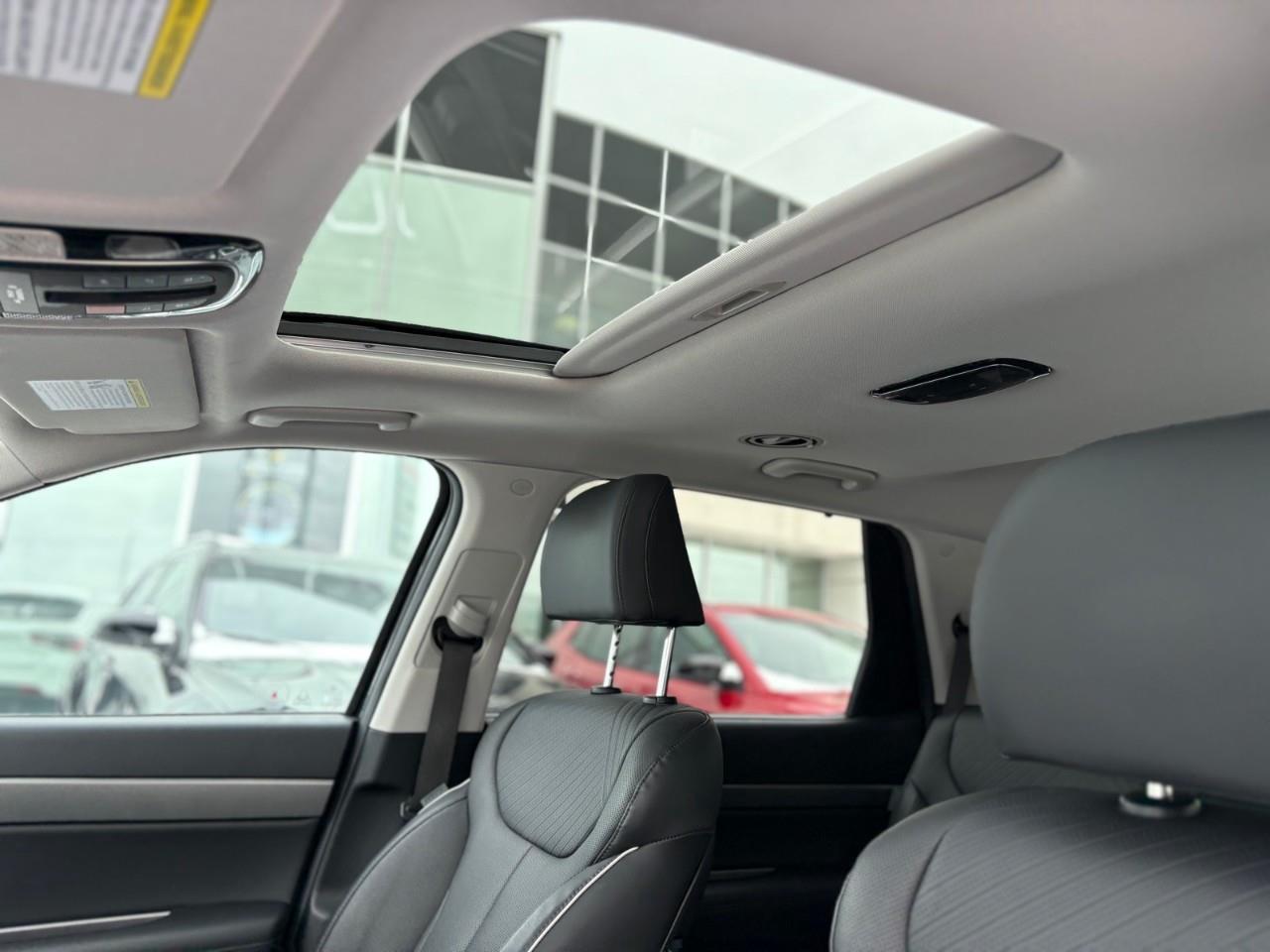 2024 Hyundai PALISADE Urban 8 Passenger 4dr All-Wheel Drive Photo