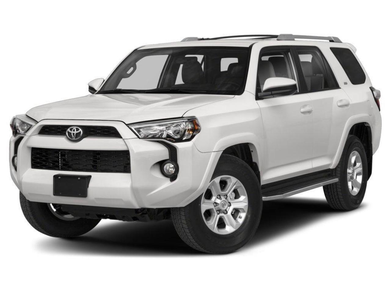 2017 Toyota 4Runner 4WD 4DR V6 SR5 Photo