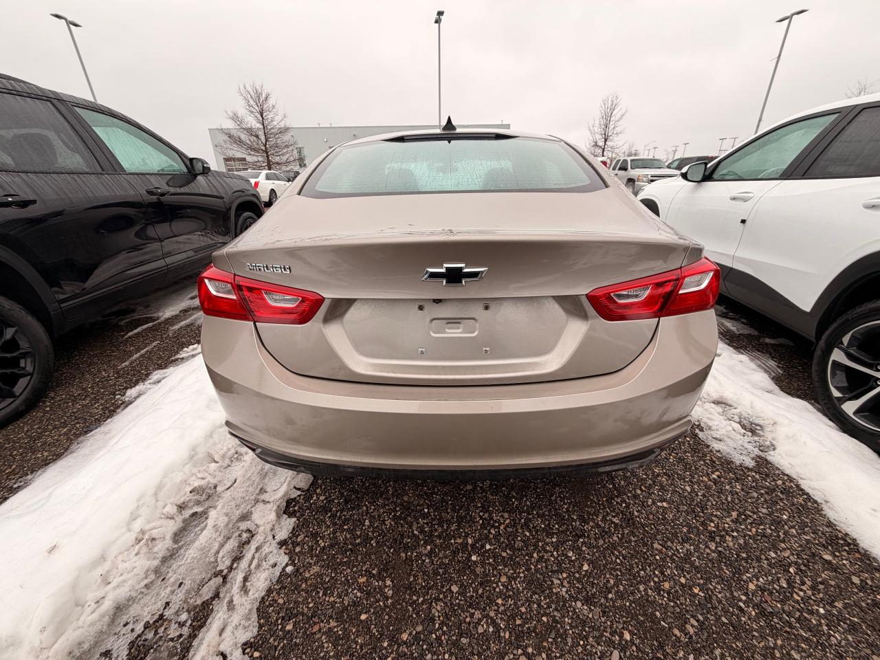 2022 Chevrolet Malibu LS w/1LS 4dr Sedan Photo
