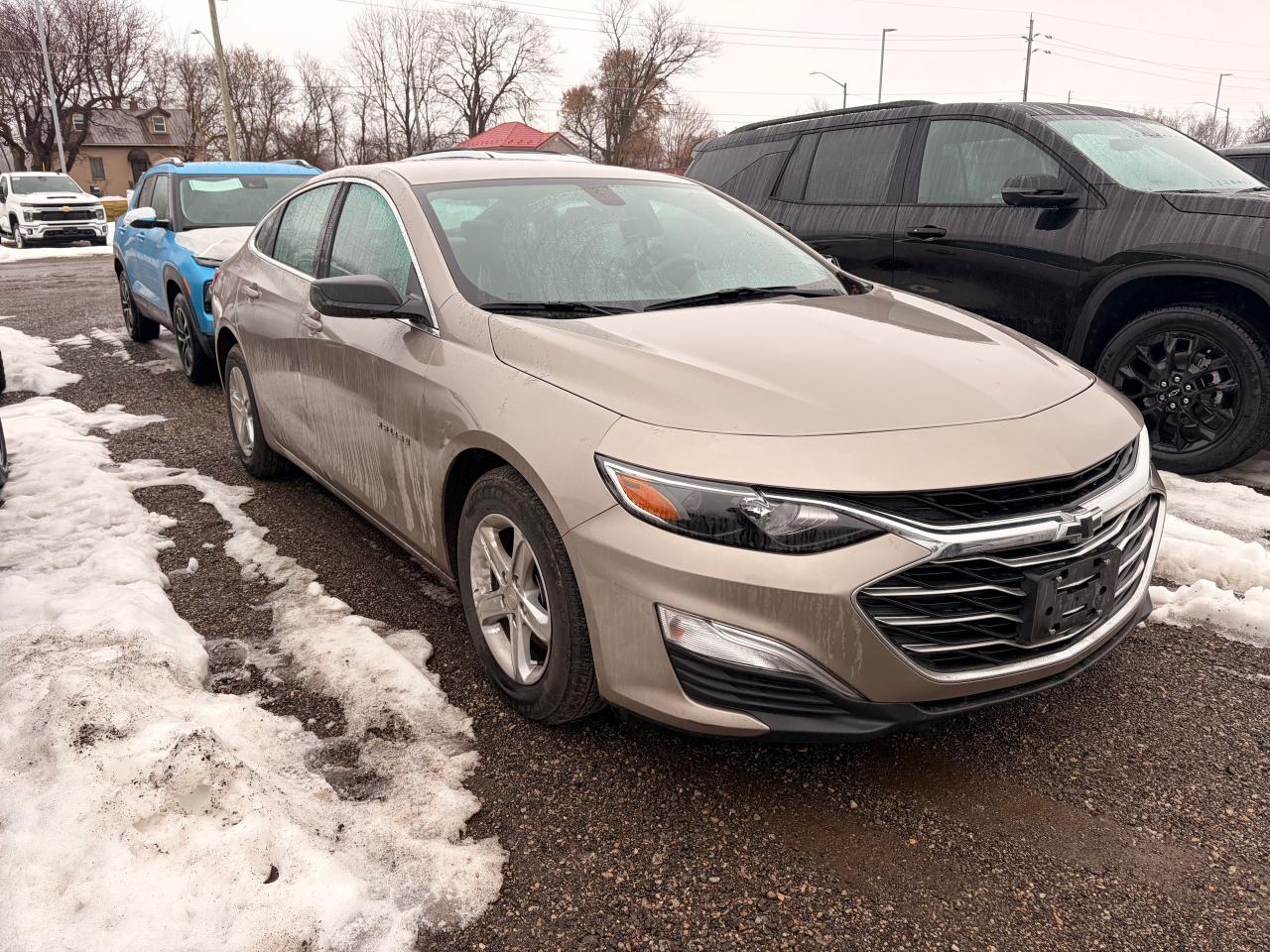 2022 Chevrolet Malibu LS w/1LS 4dr Sedan Photo