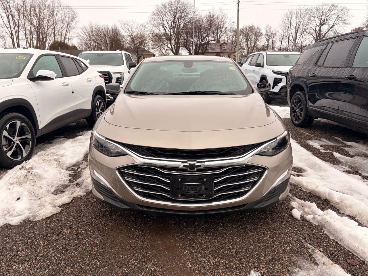 2022 Chevrolet Malibu LS w/1LS 4dr Sedan Photo
