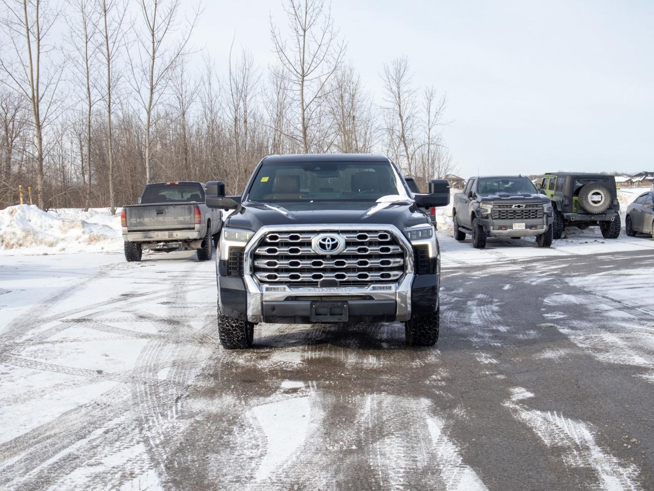 2022 Toyota Tundra Platinum Hybrid- Panoramic Roof   Heads-Up Display Photo2