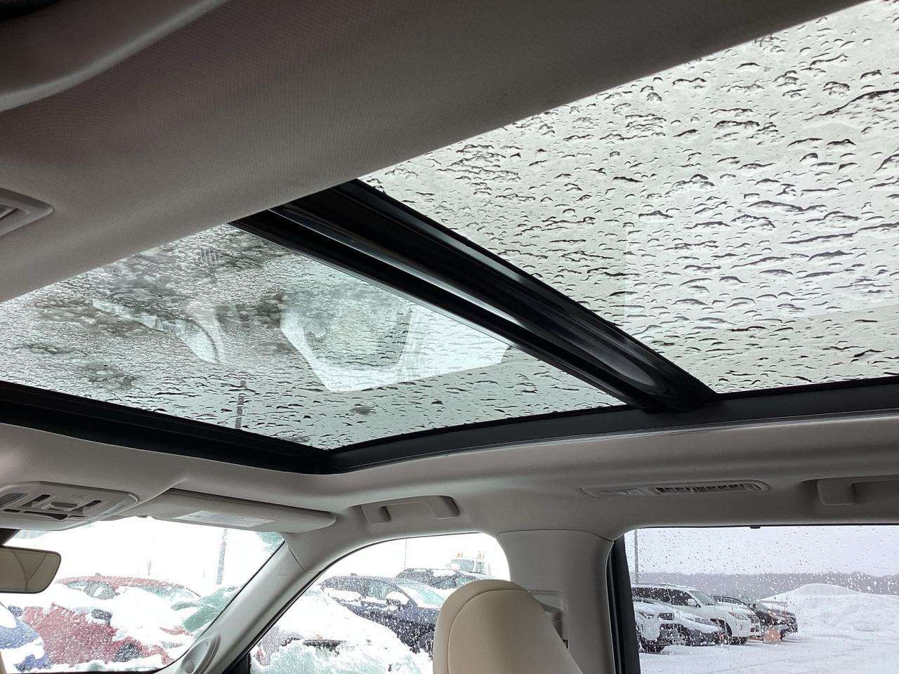 2022 Toyota Highlander HYBRID Limited AWD Photo