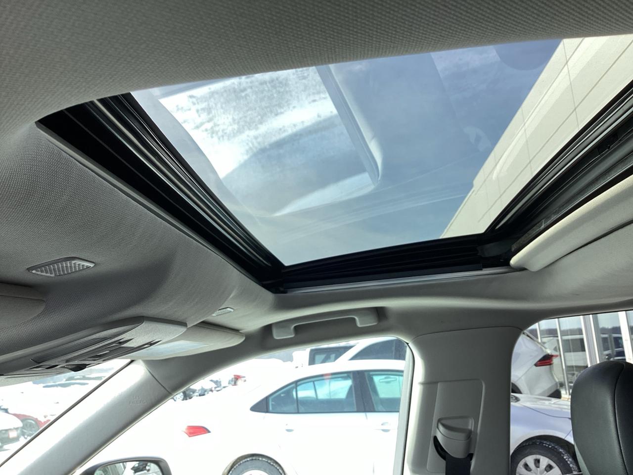 2024 Toyota Highlander XLE AWD Photo