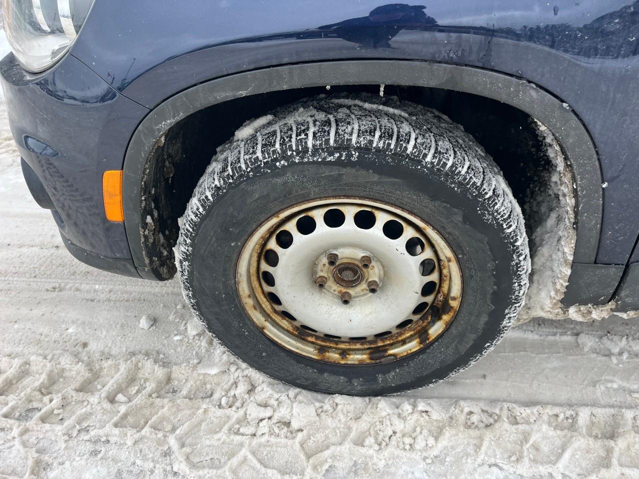 2016 Volkswagen Tiguan 4MOTION 4dr Auto Comfortline Photo