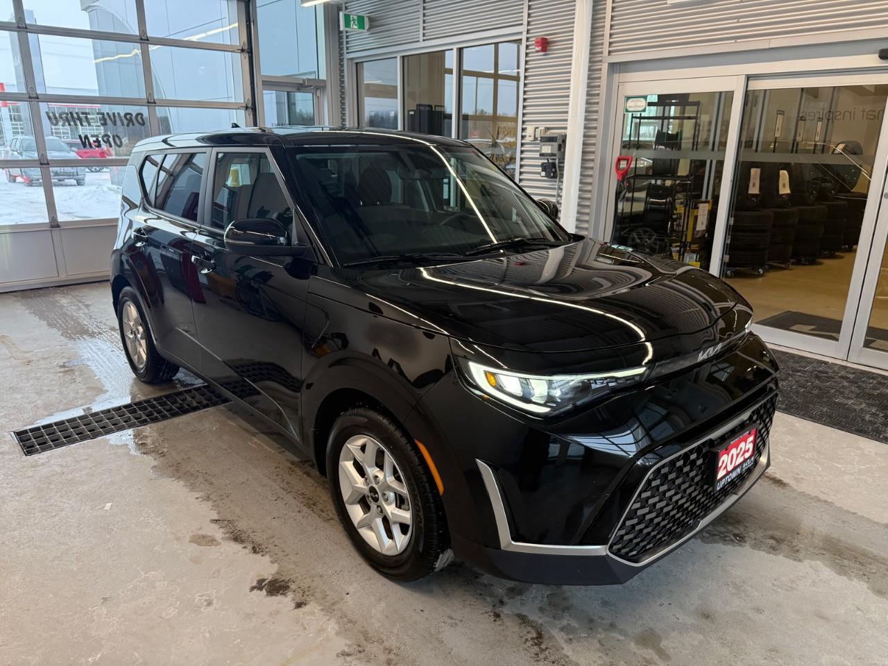 2025 Kia Soul EX 4dr Hatchback Photo