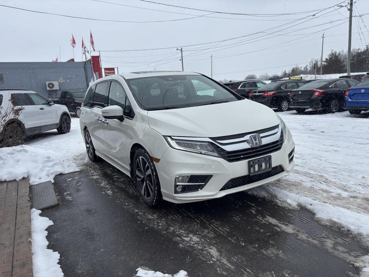 2019 Honda Odyssey Touring (A10) Passenger Van Photo
