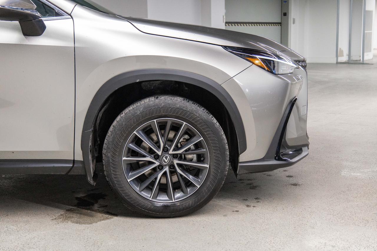 2024 Lexus NX 350Premium Pkg Lexus Certified Welcome Trades Photo
