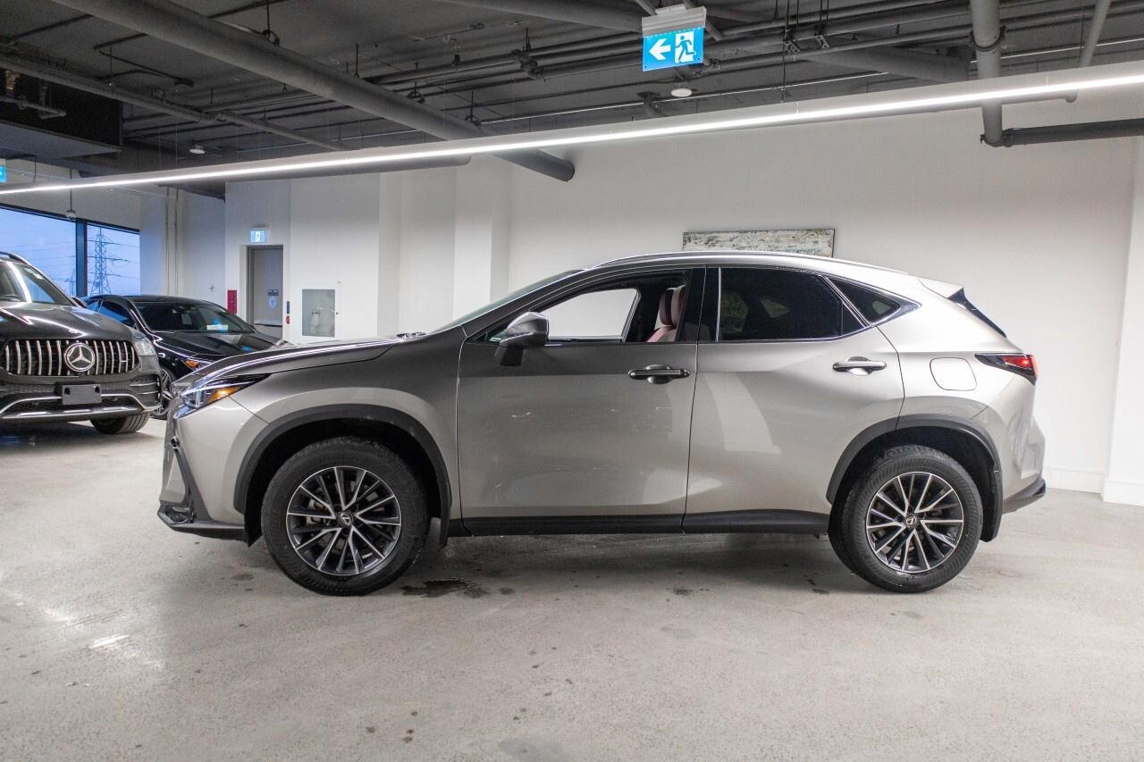 2024 Lexus NX 350Premium Pkg Lexus Certified Welcome Trades Photo
