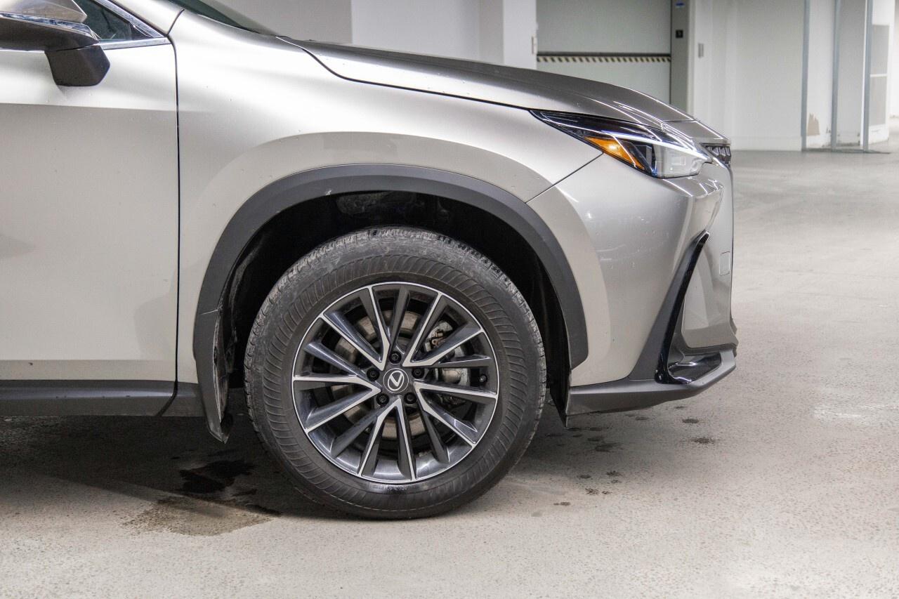 2024 Lexus NX 350Premium Pkg Lexus Certified Welcome Trades Photo