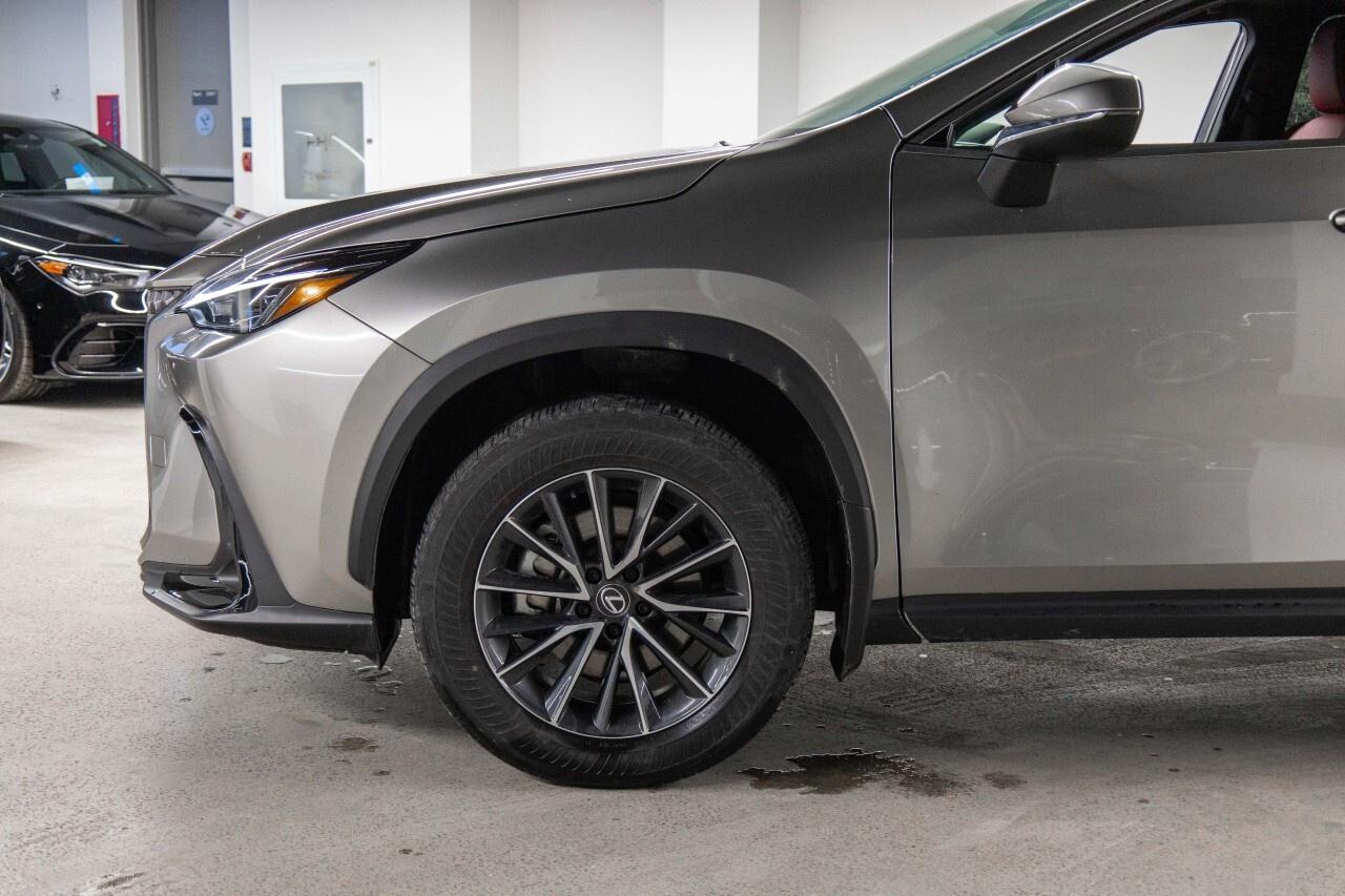 2024 Lexus NX 350Premium Pkg Lexus Certified Welcome Trades Photo