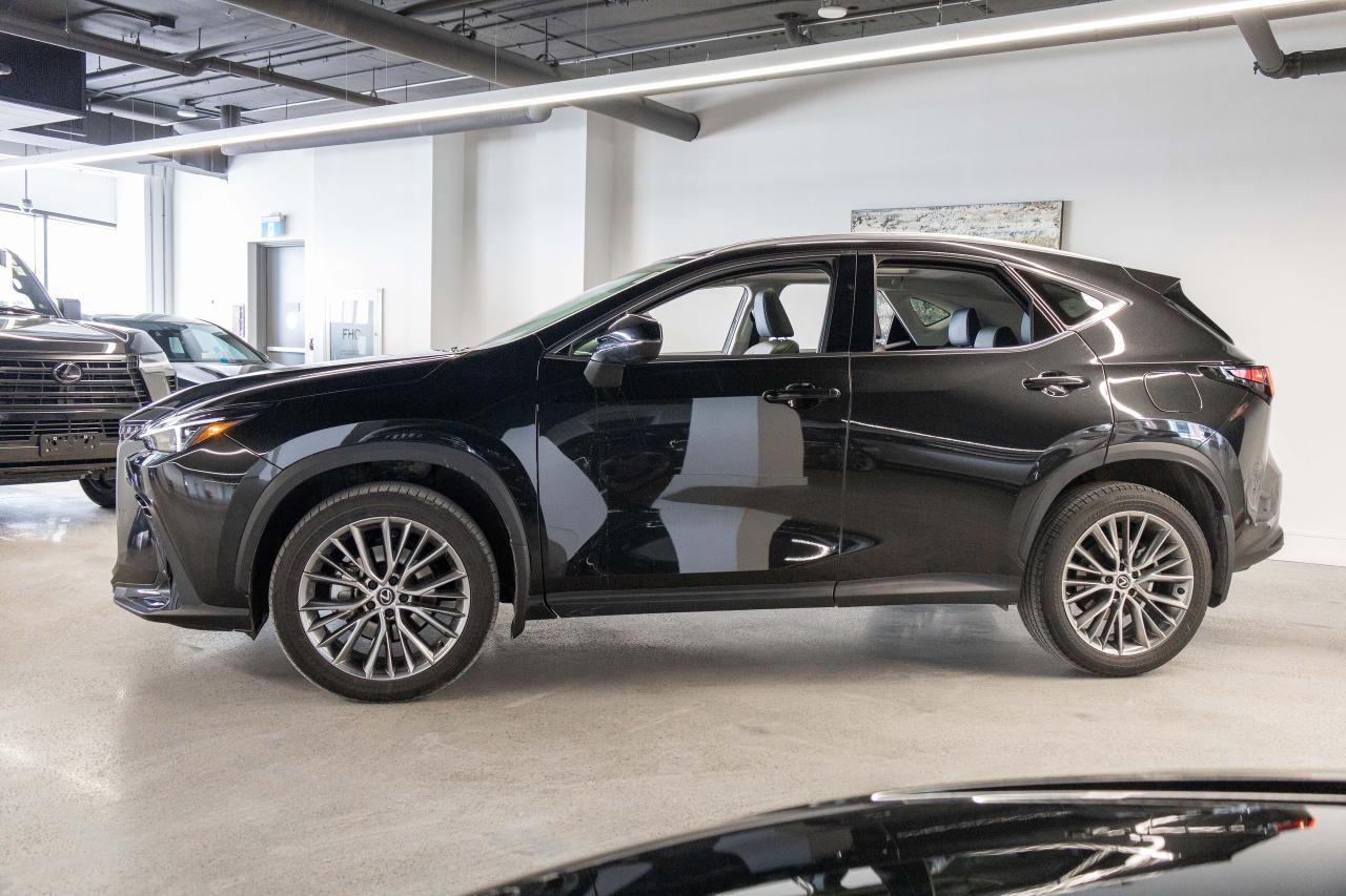 2024 Lexus NX 350 Luxury Pkg Lexus Certified Welcome Trades Photo