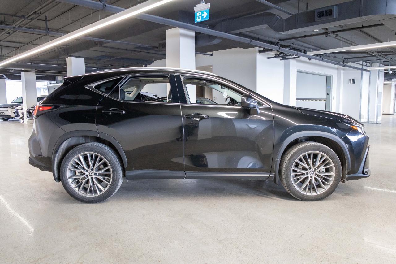 2024 Lexus NX 350 Luxury Pkg Lexus Certified Welcome Trades Photo