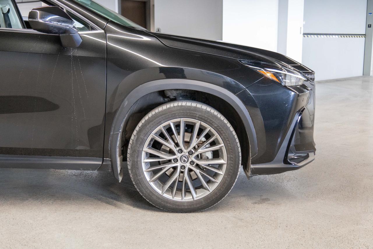 2024 Lexus NX 350 Luxury Pkg Lexus Certified Welcome Trades Photo