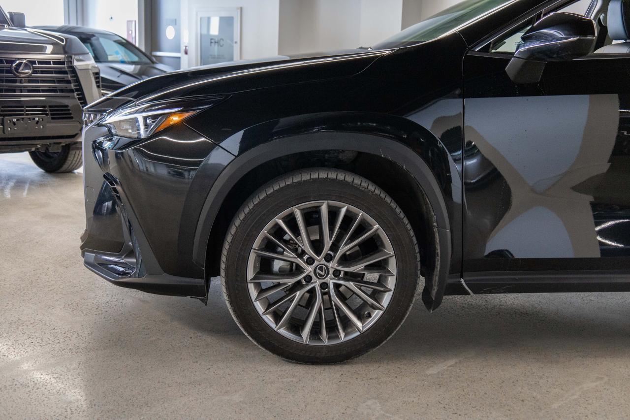2024 Lexus NX 350 Luxury Pkg Lexus Certified Welcome Trades Photo