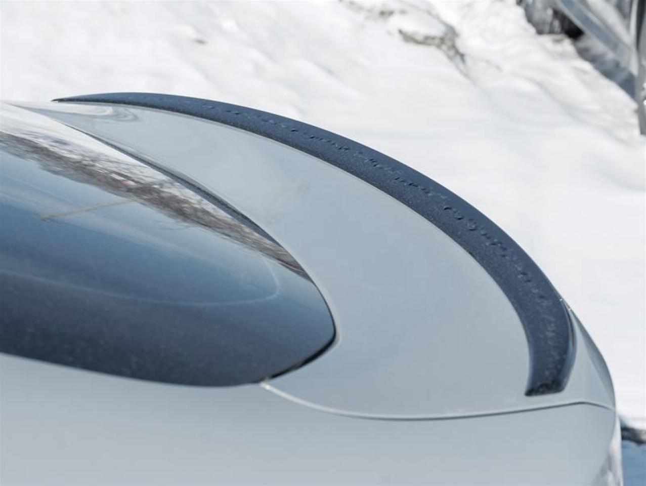 2025 BMW 430i  Photo