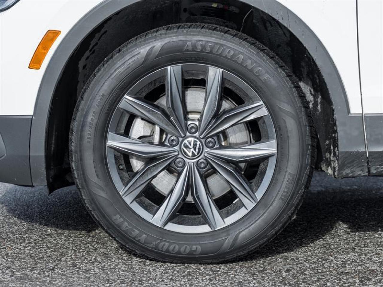 2024 Volkswagen Tiguan Comfortline 4dr All-wheel Drive 4MOTION Photo4