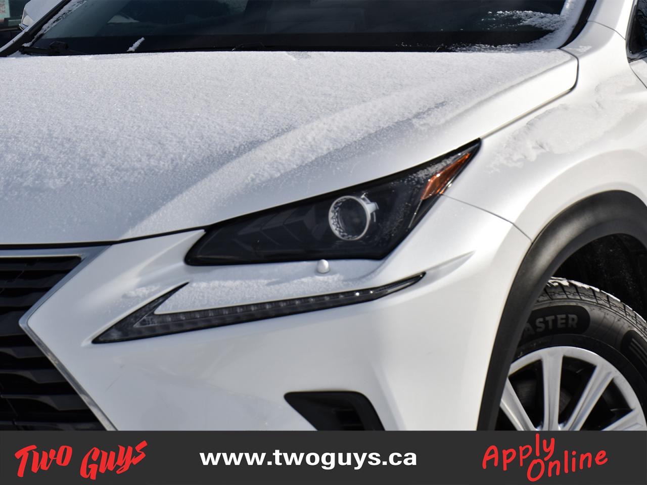 2019 Lexus NX NX 300 Auto AWD Leather Back Up Camera Photo