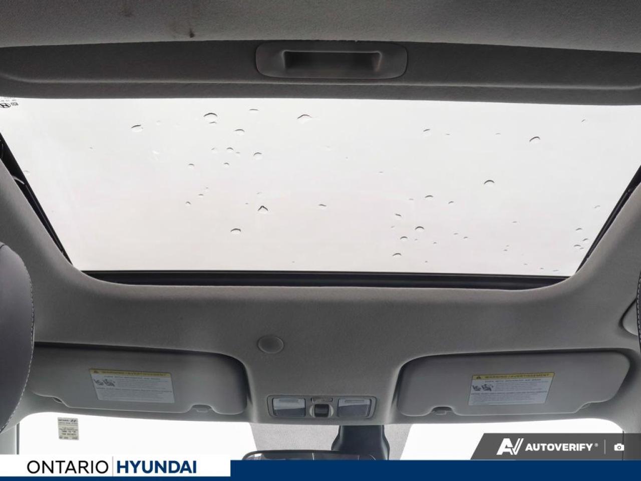 2023 Hyundai Venue Ultimate w/Black Interior 4dr Front-Wheel Drive Photo