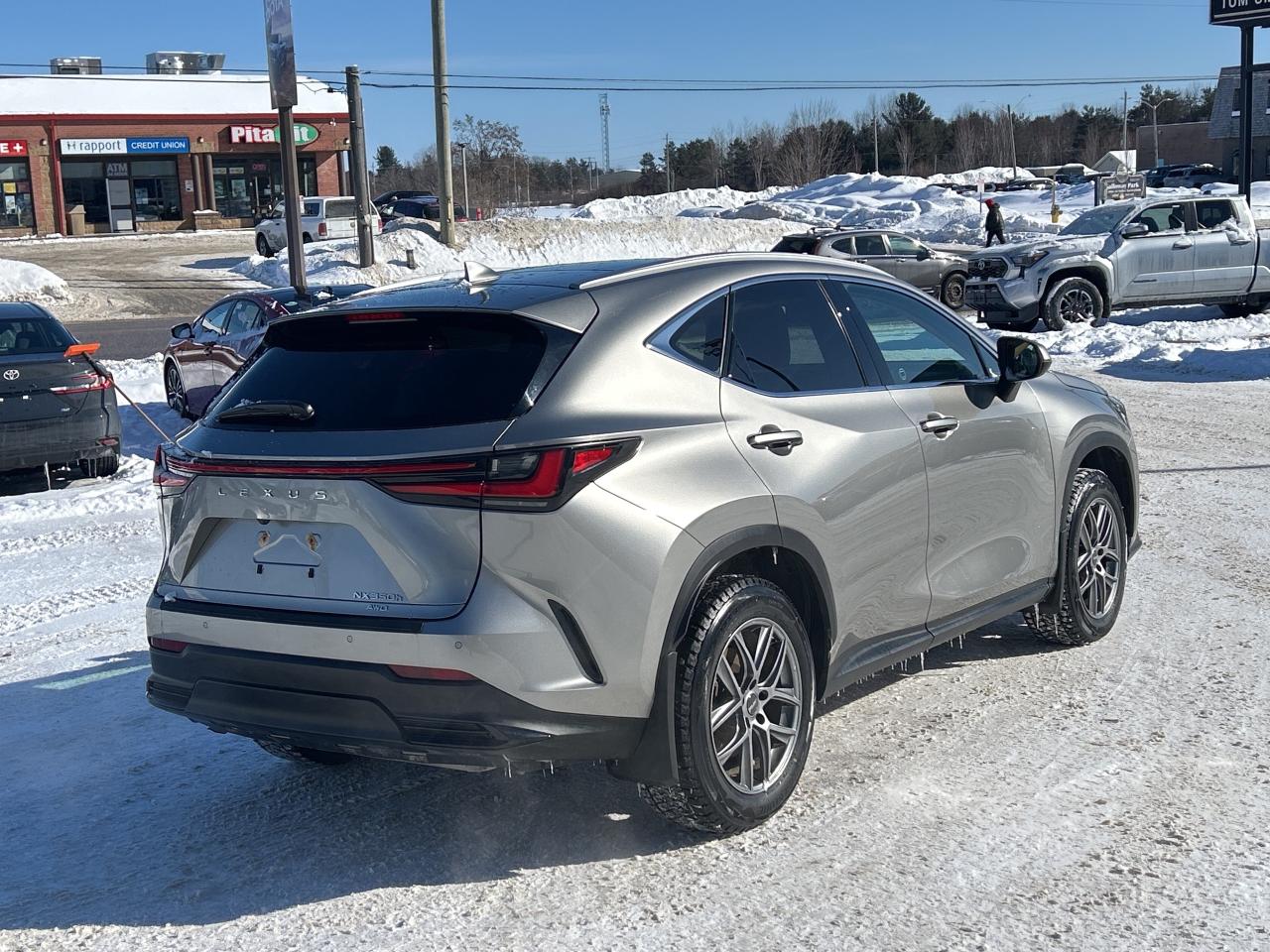 2022 Lexus NX NX 350H Photo