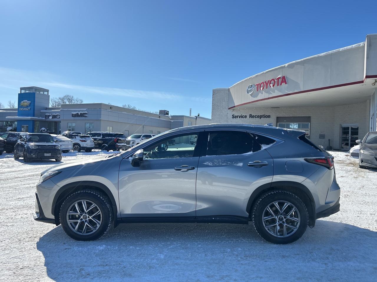 2022 Lexus NX NX 350H Photo