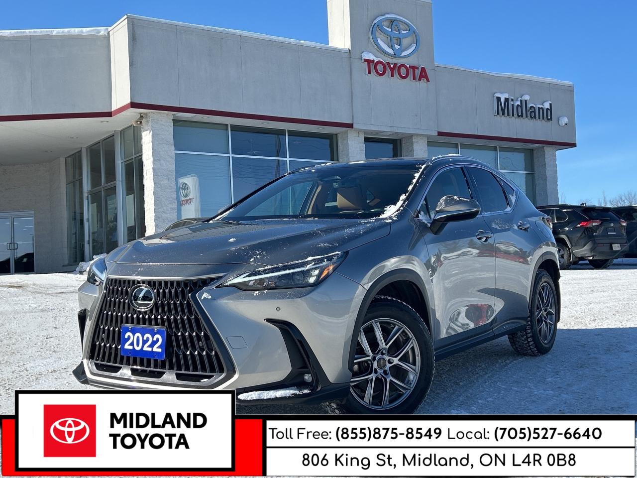 2022 Lexus NX NX 350H Photo