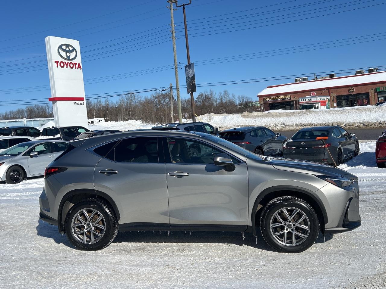 2022 Lexus NX NX 350H Photo