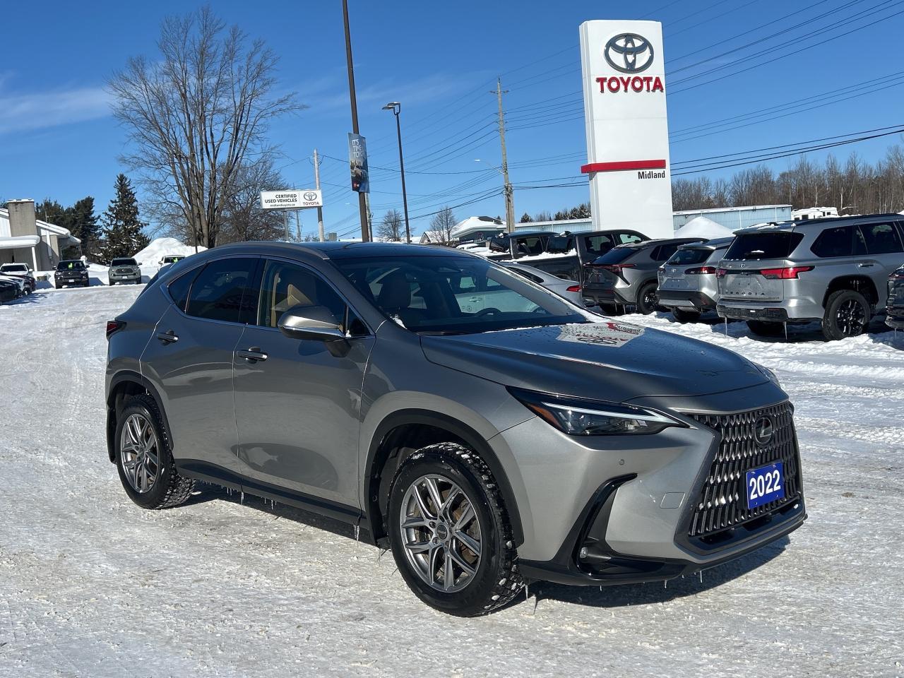 2022 Lexus NX NX 350H Photo