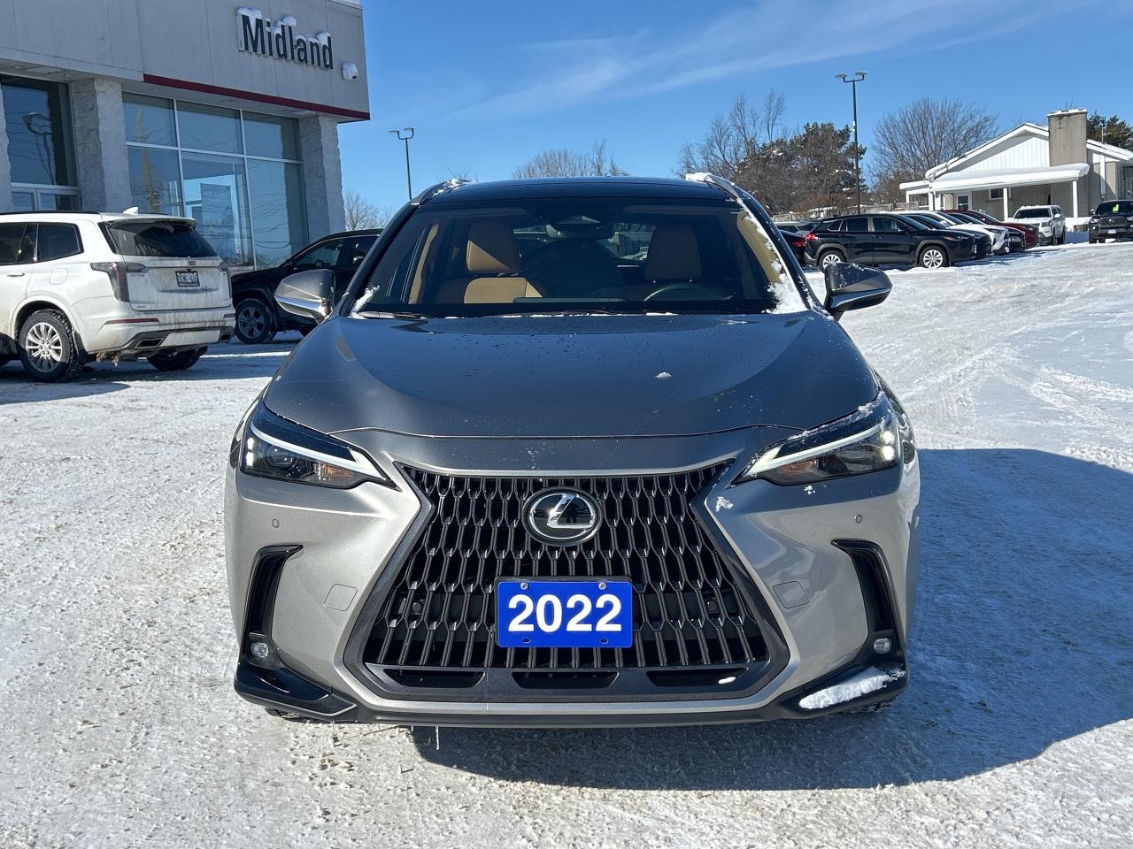 2022 Lexus NX NX 350H Photo