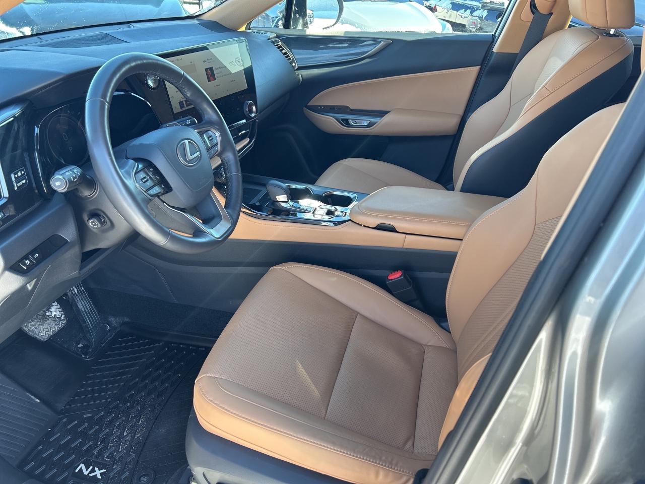 2022 Lexus NX NX 350H Photo