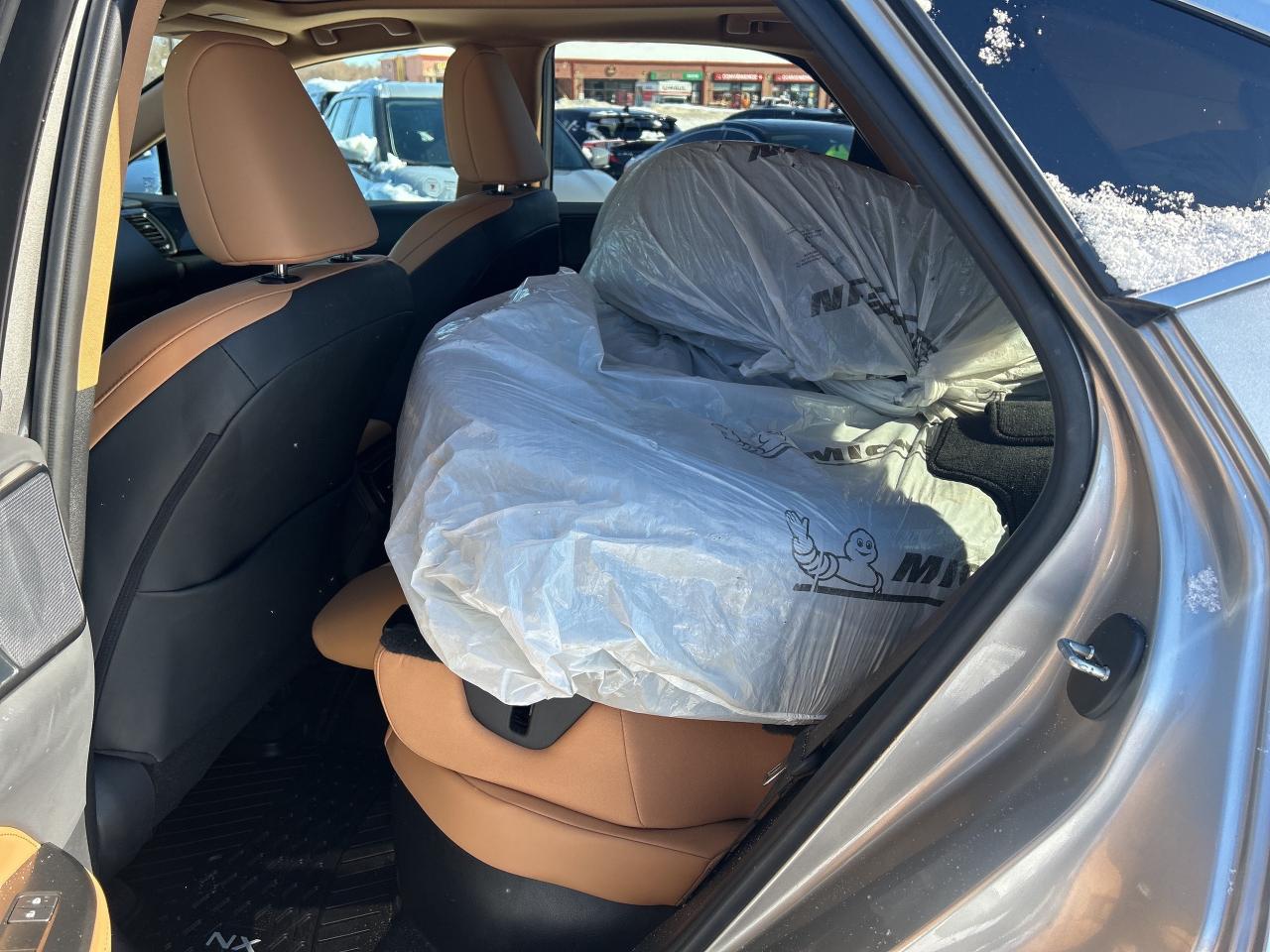 2022 Lexus NX NX 350H Photo