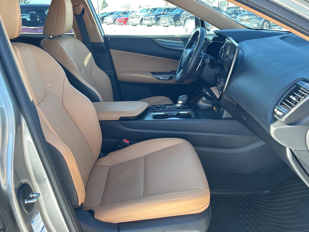 2022 Lexus NX NX 350H Photo