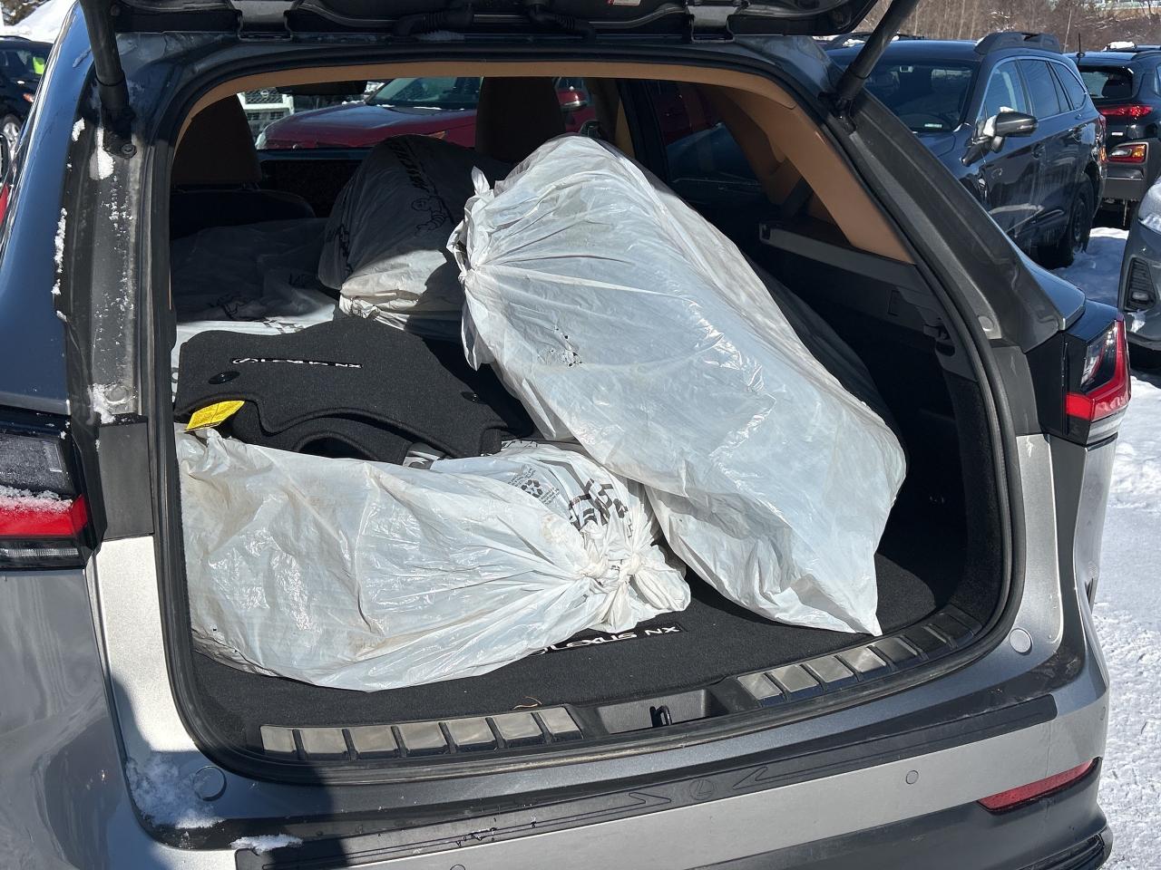 2022 Lexus NX NX 350H Photo