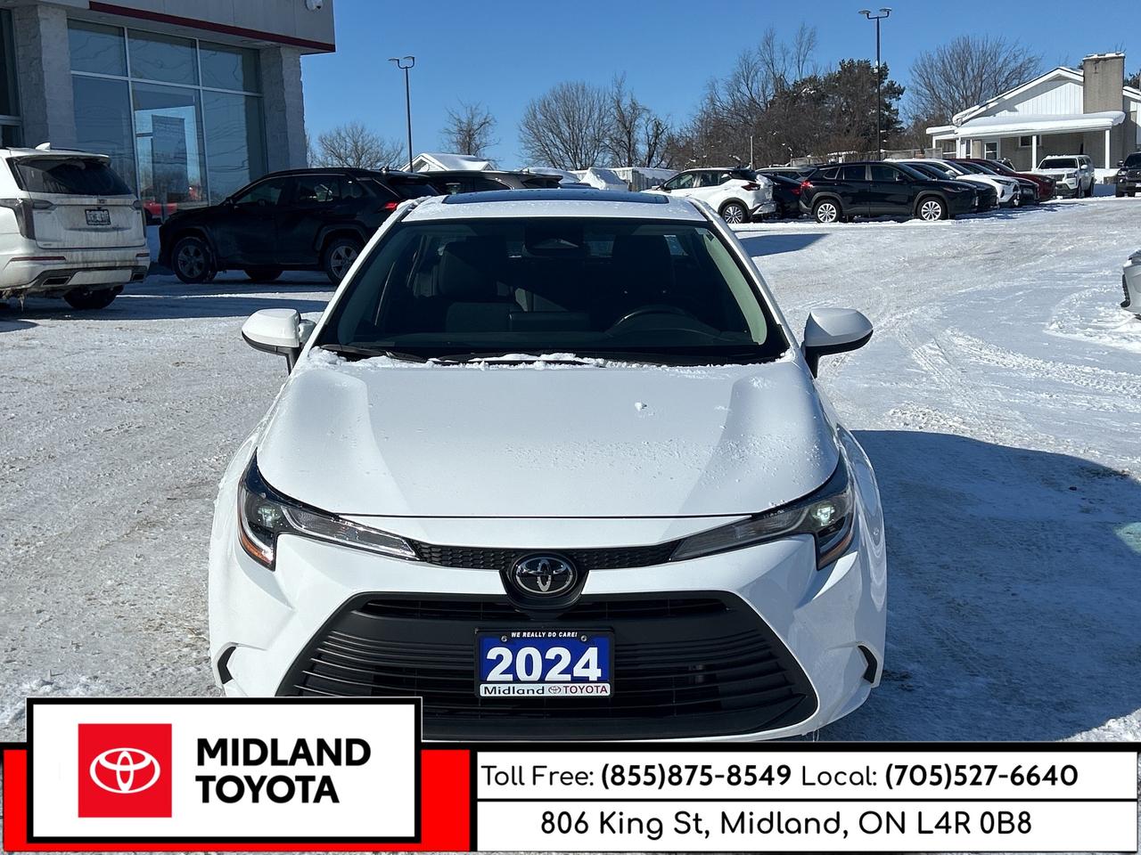 2024 Toyota Corolla LE UPGRADE Photo0