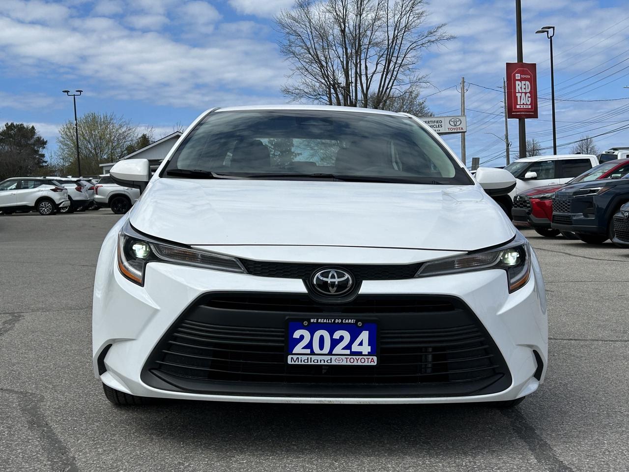 2024 Toyota Corolla LE UPGRADE Photo