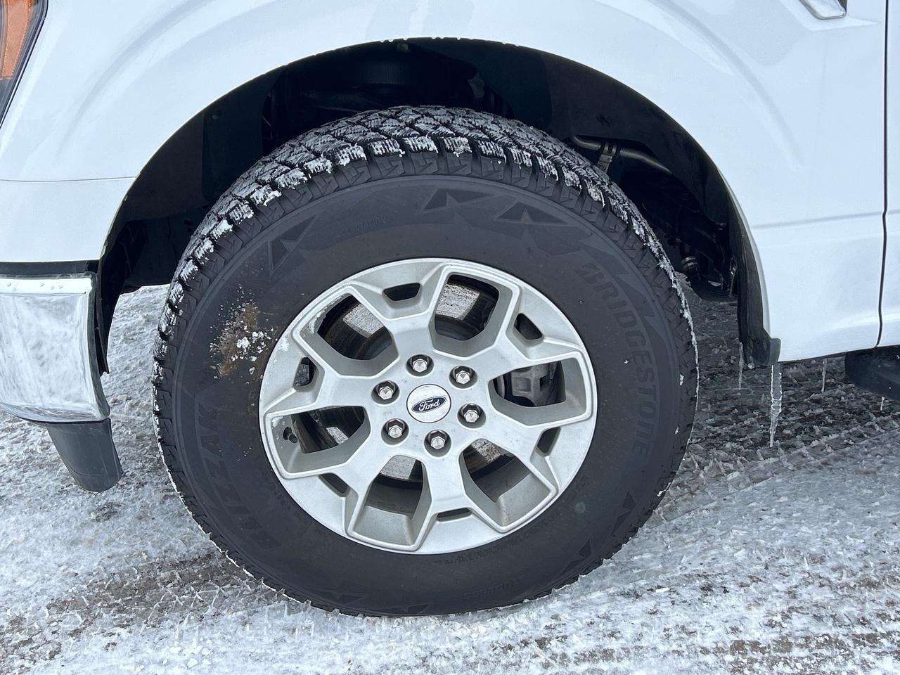 2023 Ford F-150 XLT POWERBOOST Photo