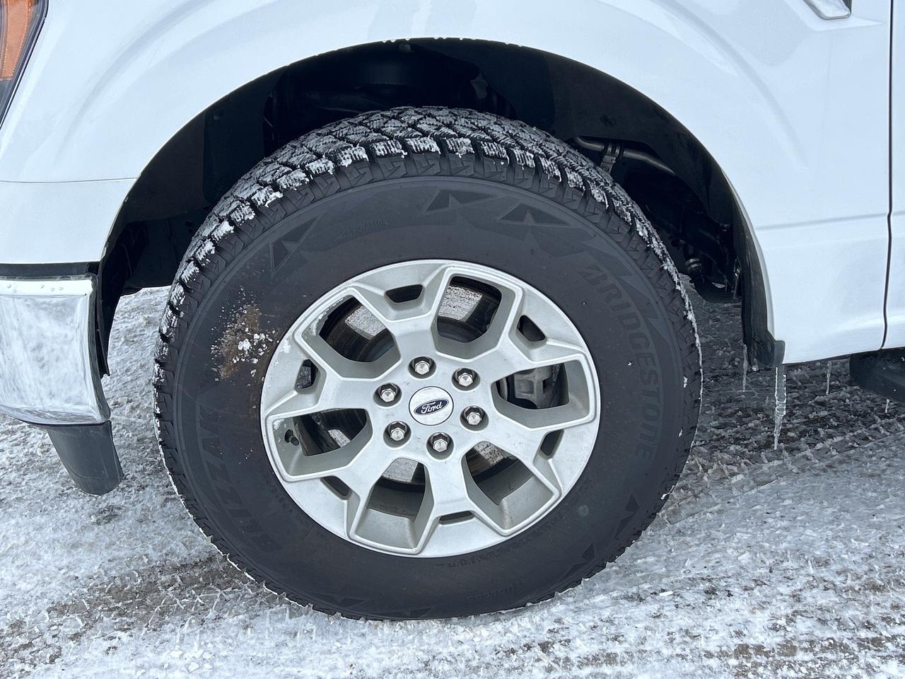 2023 Ford F-150 XLT POWERBOOST Photo