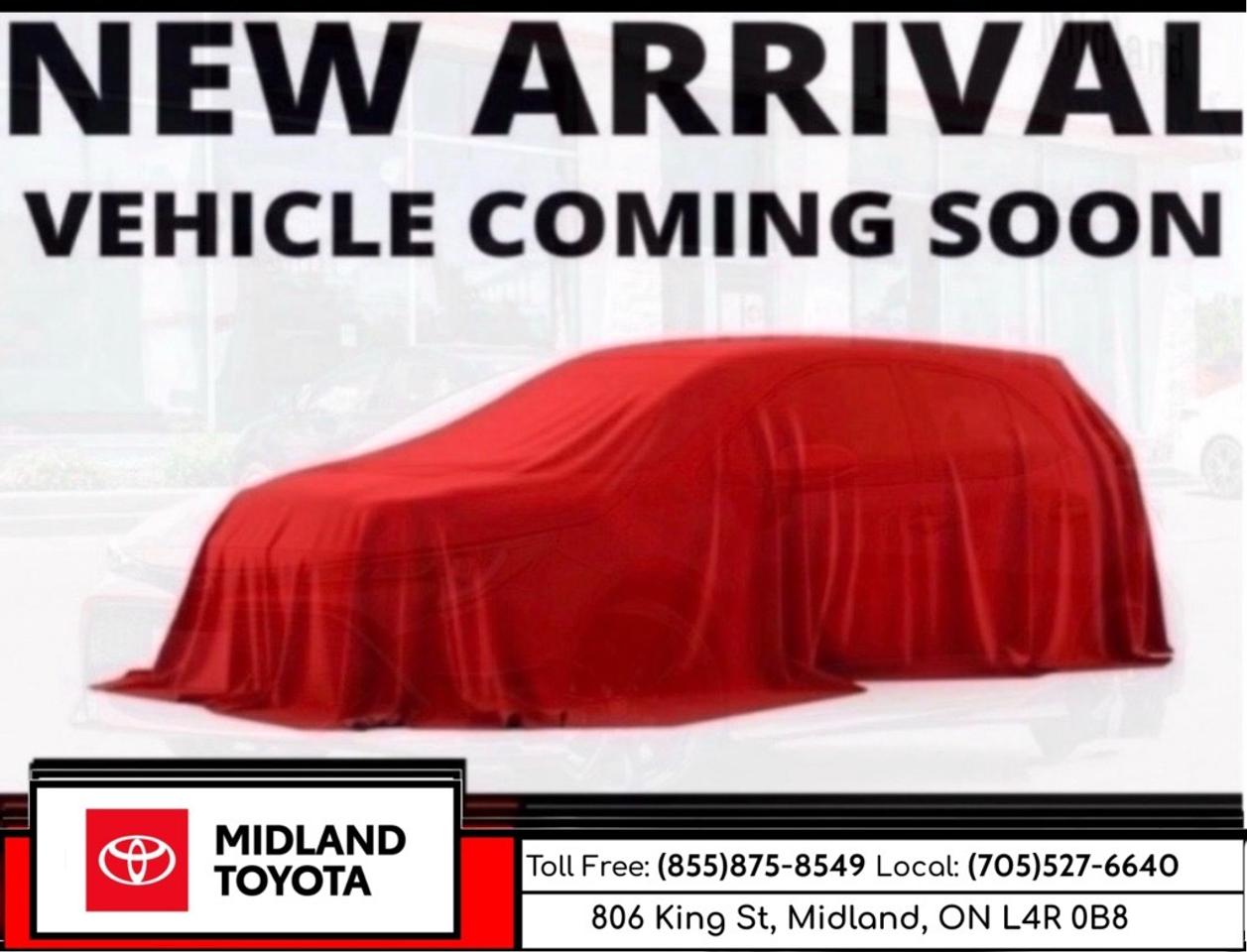 2020 Toyota Tacoma TRD Pro Photo