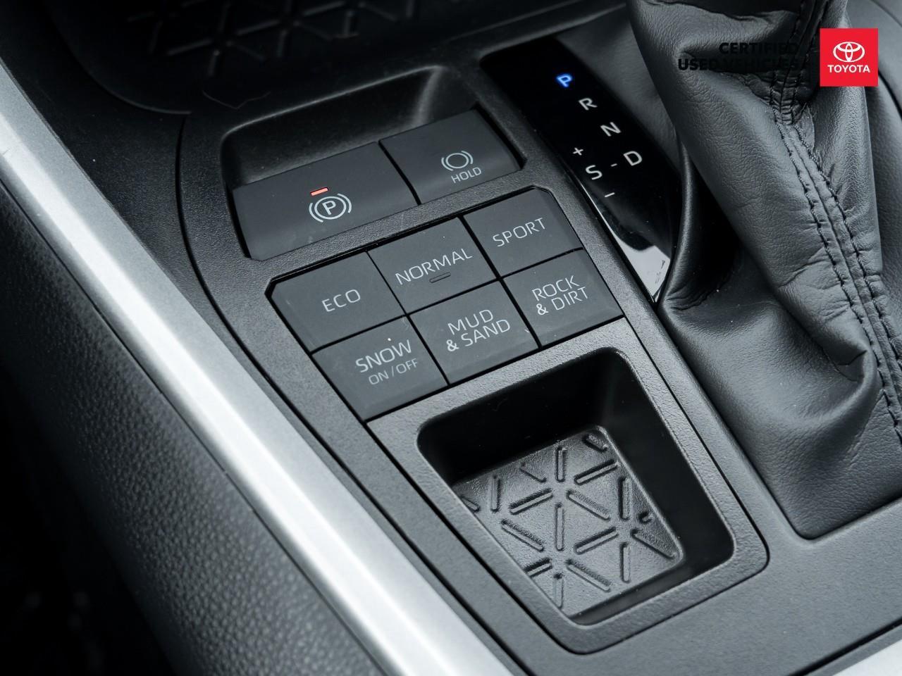 2025 Toyota RAV4 XLE 4dr All-wheel Drive Photo