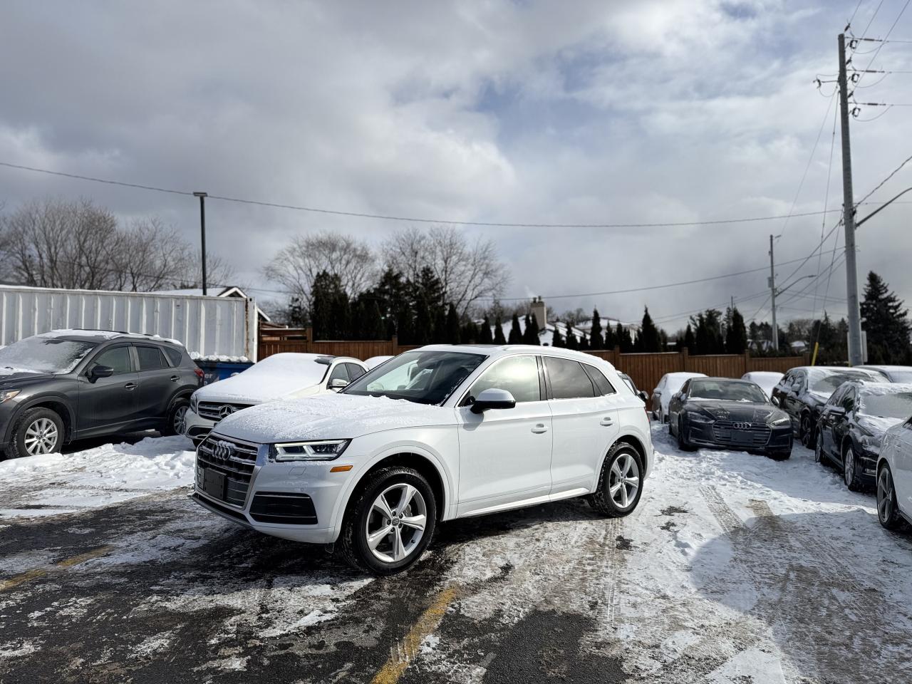 2020 Audi Q5 quattro   0 Accidents   LowKMS Photo