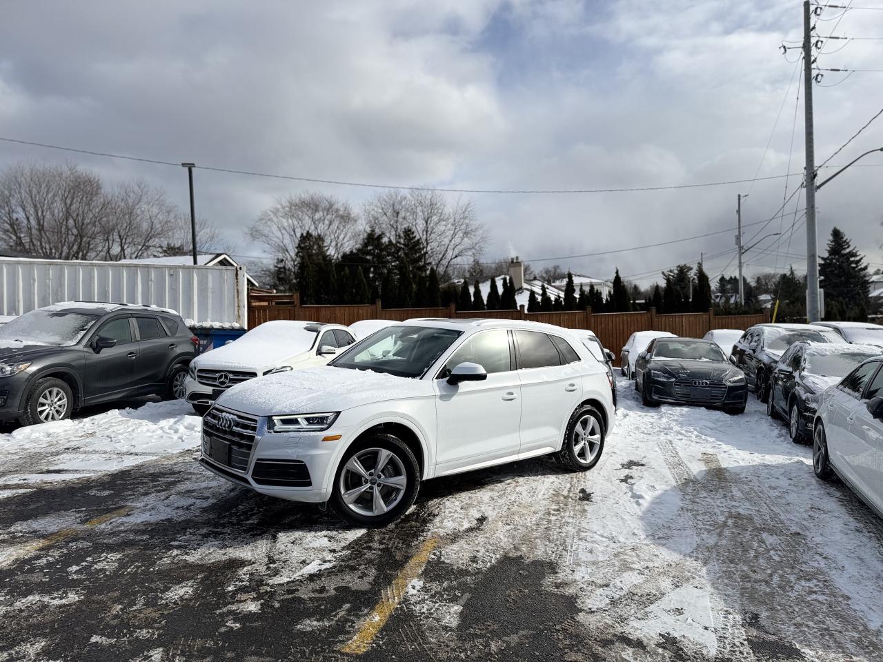 2020 Audi Q5 quattro   0 Accidents   LowKMS Photo