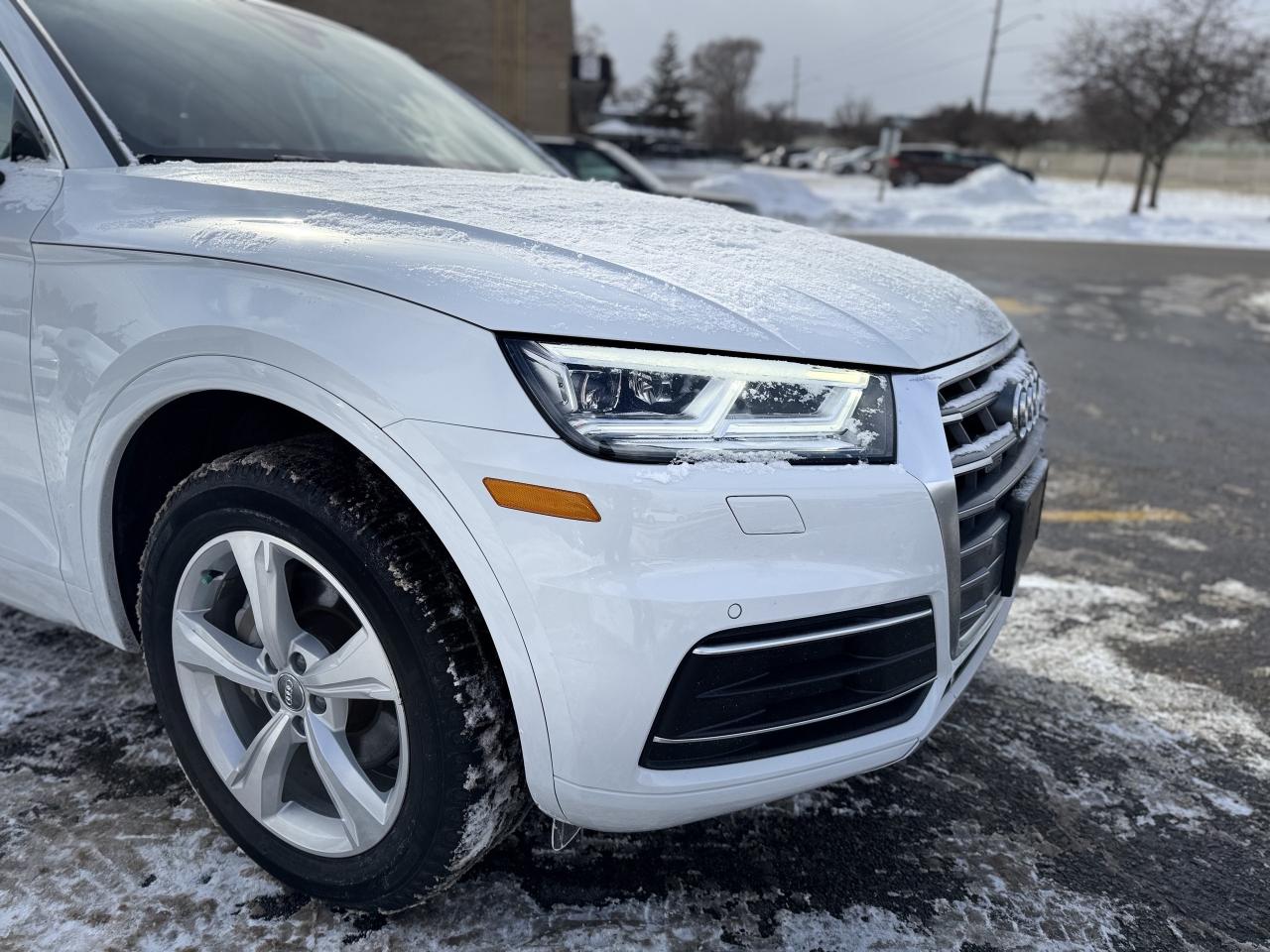 2020 Audi Q5 quattro   0 Accidents   LowKMS Photo