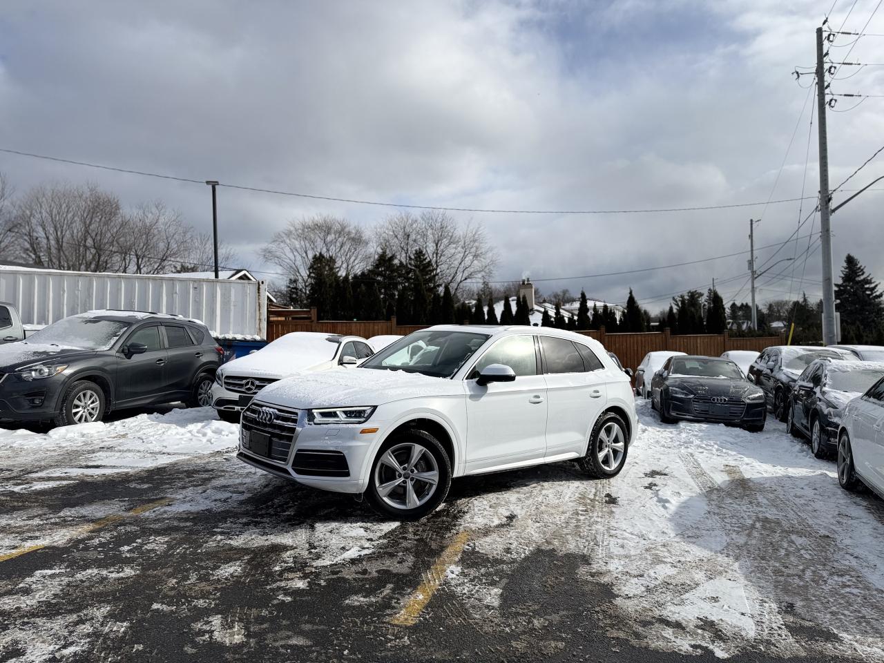 2020 Audi Q5 quattro   0 Accidents   LowKMS Photo
