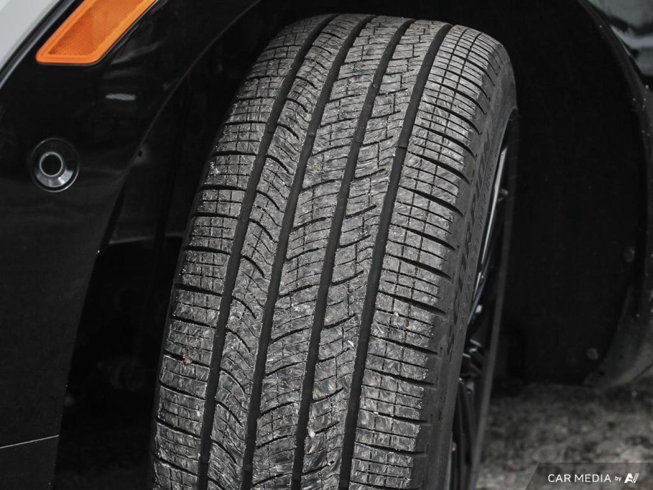 2025 Hyundai Santa Fe Ultimate Calligraphy 4dr All-Wheel Drive Photo