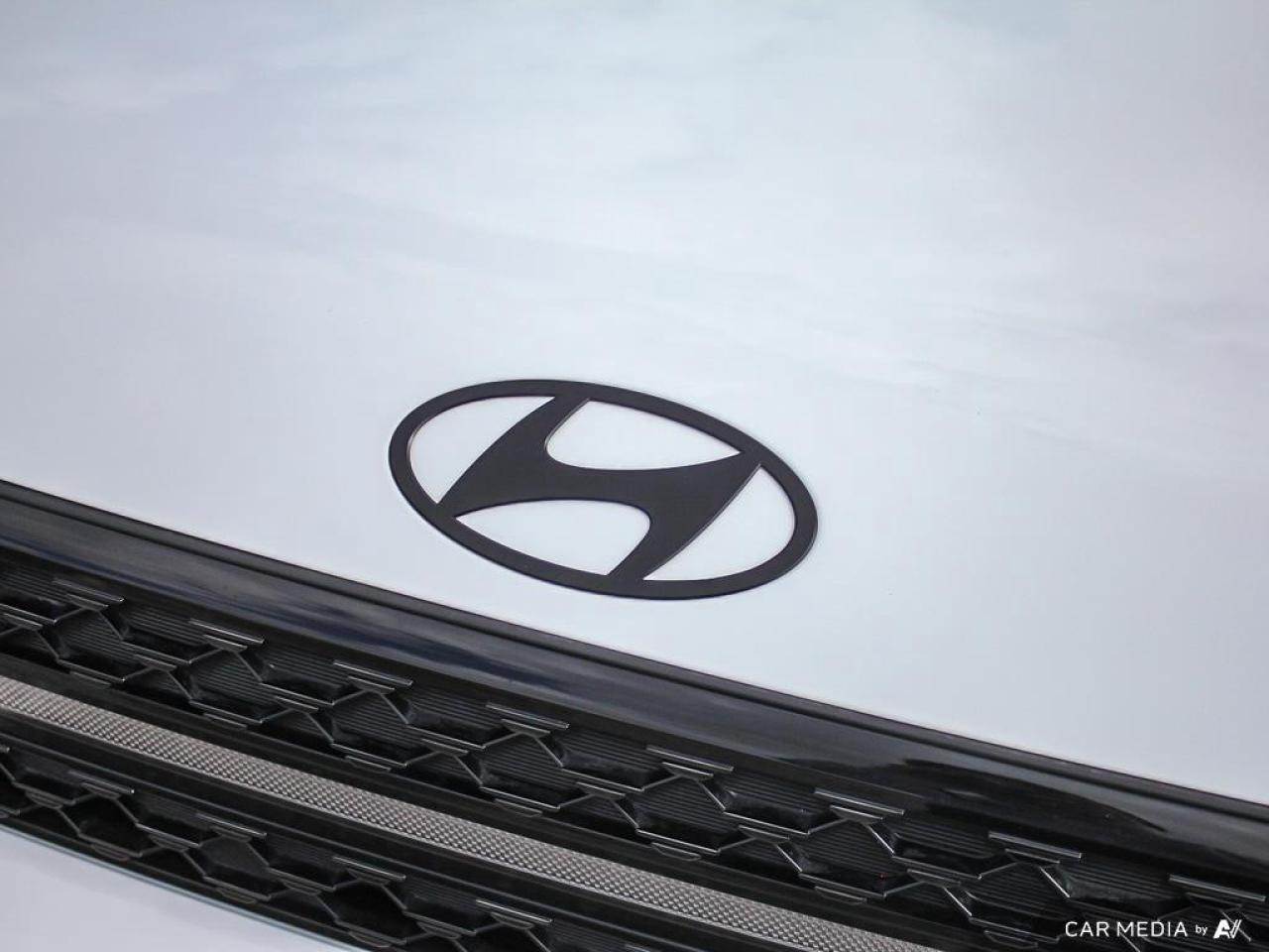 2025 Hyundai Santa Fe Ultimate Calligraphy 4dr All-Wheel Drive Photo