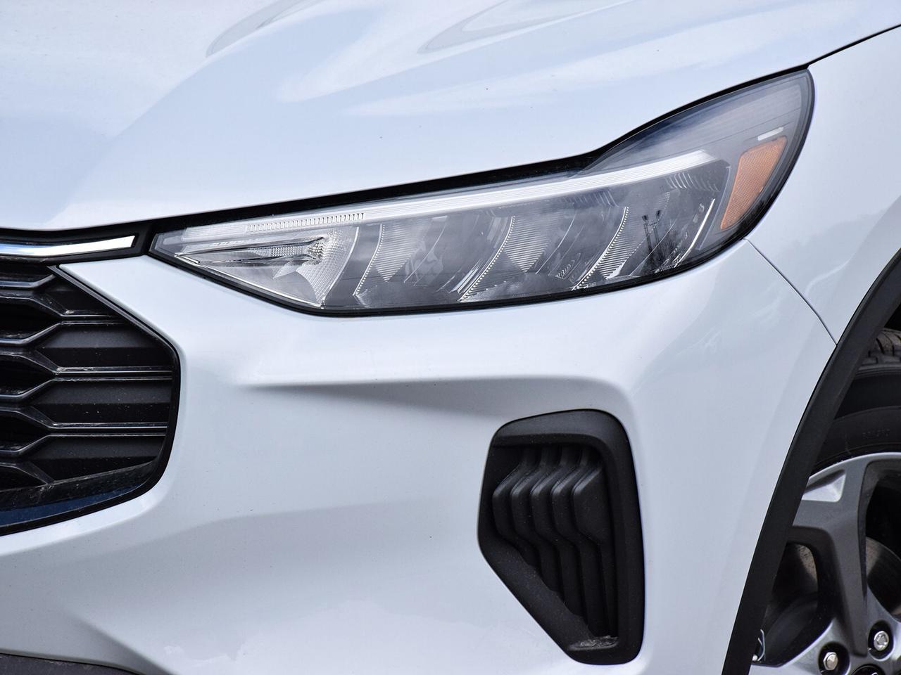 2025 Ford Escape ST-Line AWD Photo